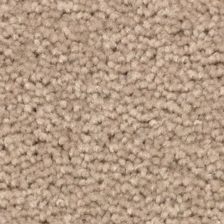 Mohawk Carpet Treasure Valley Autumn Ash Mohawk