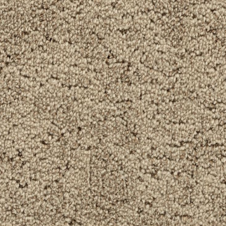 Godfrey Hirst Carpets Inspiring Selection Sandstone GODFREY HIRST