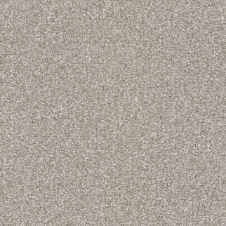 Masland Carpets Hunter Benji Masland