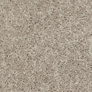 Horizon Carpet Winning Hand III Tradition Mohawk