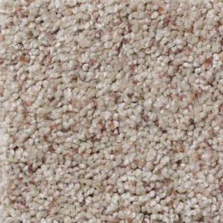 Shaw Floors What's Up Classic SHAW