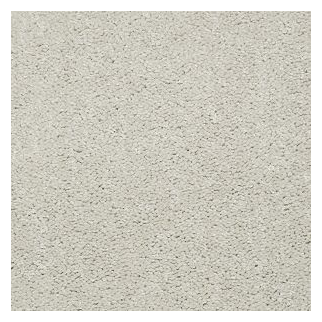 Shaw Floors Knockout II 15' Face Powder SHAW