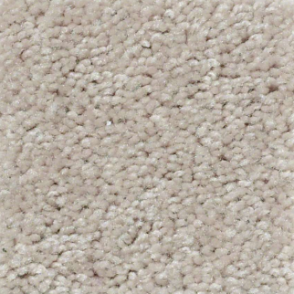 Shaw Floors Knockout II 12' Fleece SHAW