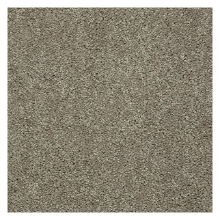 Shaw Floors Mission Statement II 12' Fossil SHAW