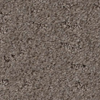 Shaw Floors Chic Nuance Ridgeview SHAW