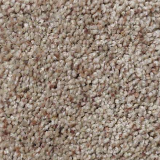 Shaw Floors What's Up Stunning SHAW