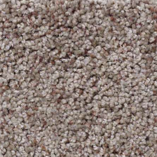 Shaw Floors What's Up Vintage SHAW