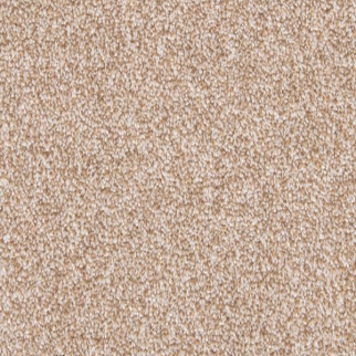 Mohawk Carpet Dynamic Quality II Walnut Sage Mohawk