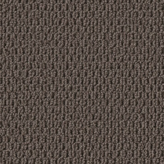 Shaw Floors Perspective Path Black Walnut SHAW