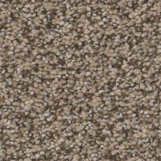 Tuftex Somerset Chic Taupe SHAW