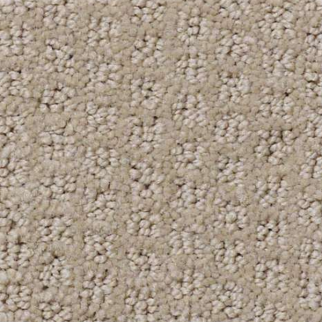 Shaw Floors Pacific Trails Hiking Trail SHAW