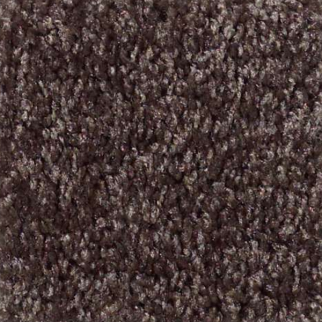 Shaw Floors Parlay Mink SHAW