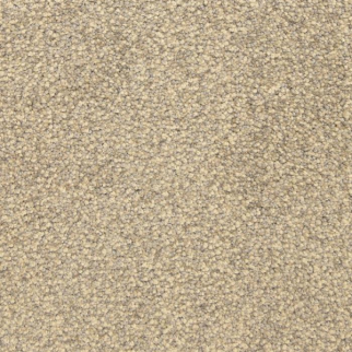 Masland Carpets This and That Storm Masland