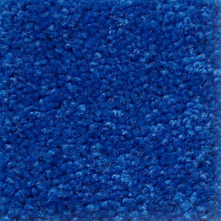 Shaw Floors Knockout II 12' Electric Blue SHAW