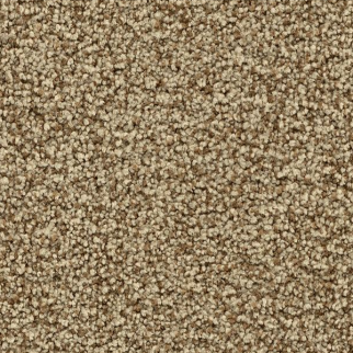 Godfrey Hirst Carpets Stylish Connection Bliss GODFREY HIRST