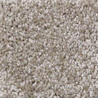 Shaw Floors Parlay Harbor Town SHAW