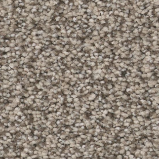 Tuftex Somerset Pashmina SHAW