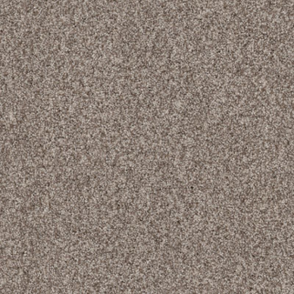 Tuftex Terra Nova Pashmina SHAW