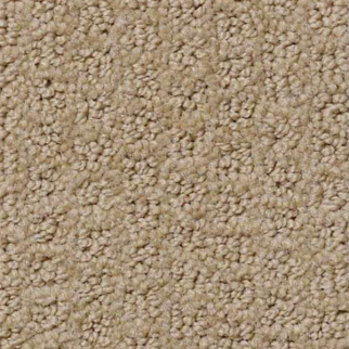 Shaw Floors Pacific Trails Sable SHAW