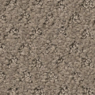 Tuftex Del Vista Shitake SHAW