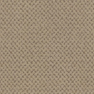 Masland Carpets La Parade Bistre Masland