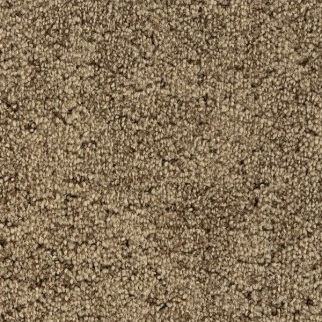 Godfrey Hirst Carpets Inspiring Selection Crushed Shells GODFREY HIRST