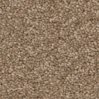 Tuftex Elegant Beauty Latte SHAW