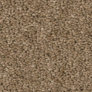 Tuftex Enduring Charm Latte SHAW