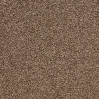 Masland Carpets Patriot Townhall Masland