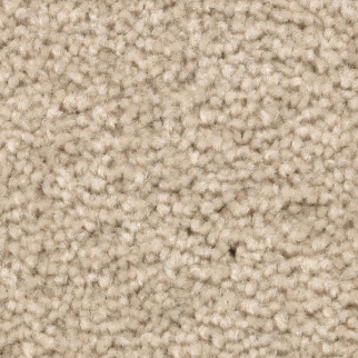 Mohawk Carpet Treasure Valley December Lace Mohawk