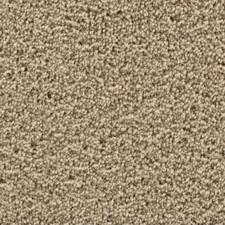 Mohawk Carpet Gentle Path Saloon Mohawk