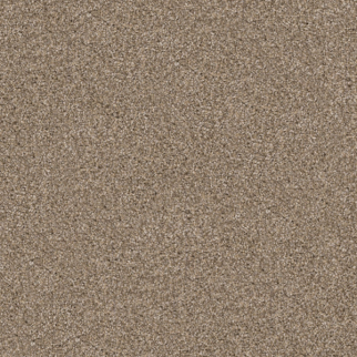 Dixie Home Labrador Shar-pei