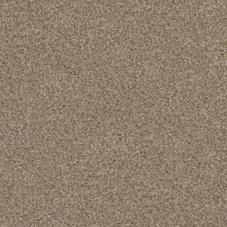 Dixie Home Pyrenees Shar-Pei