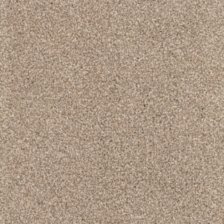 Dixie Home Great Dane Shar-Pei