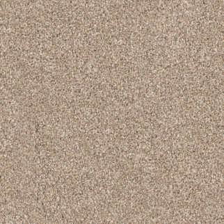 Dixie Home Husky Shar-Pei