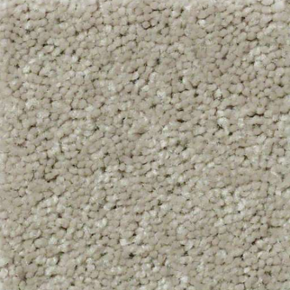 Shaw Floors QS407 75752 SHAW