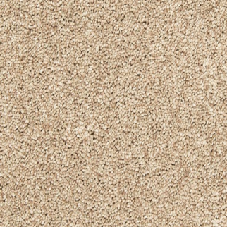 Mohawk Carpet Bold Creation Hickory Bark Mohawk