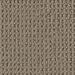 Tuftex Arden Park Taupe Gray SHAW