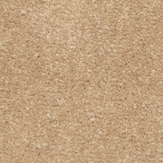 Mohawk Carpet Quality Feeling Haven Mohawk