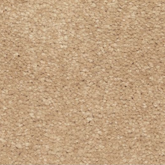 Mohawk Carpet Lakewood Drive II Michigan Mohawk