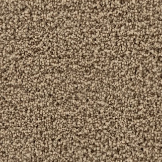 Mohawk Carpet Gentle Path Pancake Mohawk