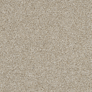 Dreamweaver Carpet Trendsetter I Seashells DREAMWEAVER