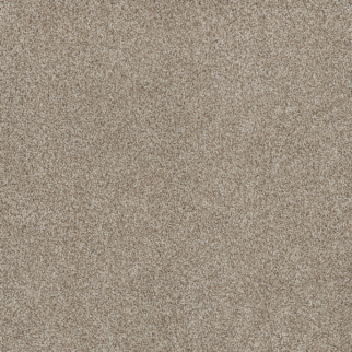 Dreamweaver Carpet Stunning Seashells DREAMWEAVER