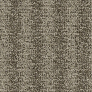 Aladdin Commercial Rule Breaker 26 12' Wheat Mohawk