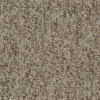 Mohawk Carpet Pristine Sensation Outback Mohawk