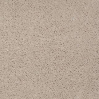 Aladdin Carpet Accelerator Plus Shadow Taupe MISSING