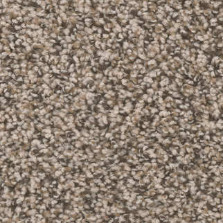 Dreamweaver Carpet West Brow Gemstone DREAMWEAVER