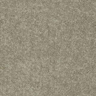 Shaw Floors Newbern Classic 12 Fossil SHAW