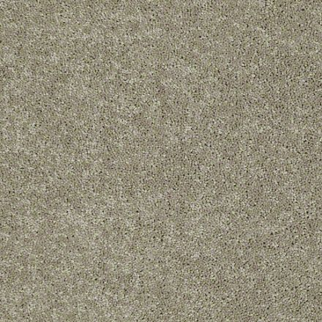 Shaw Floors Dyersburg Classic 12' Fossil SHAW