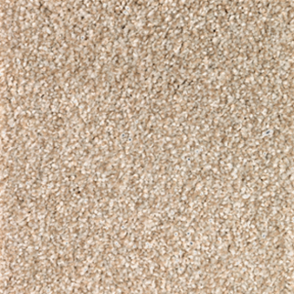 Mohawk Carpet True Unity Harmony Mohawk